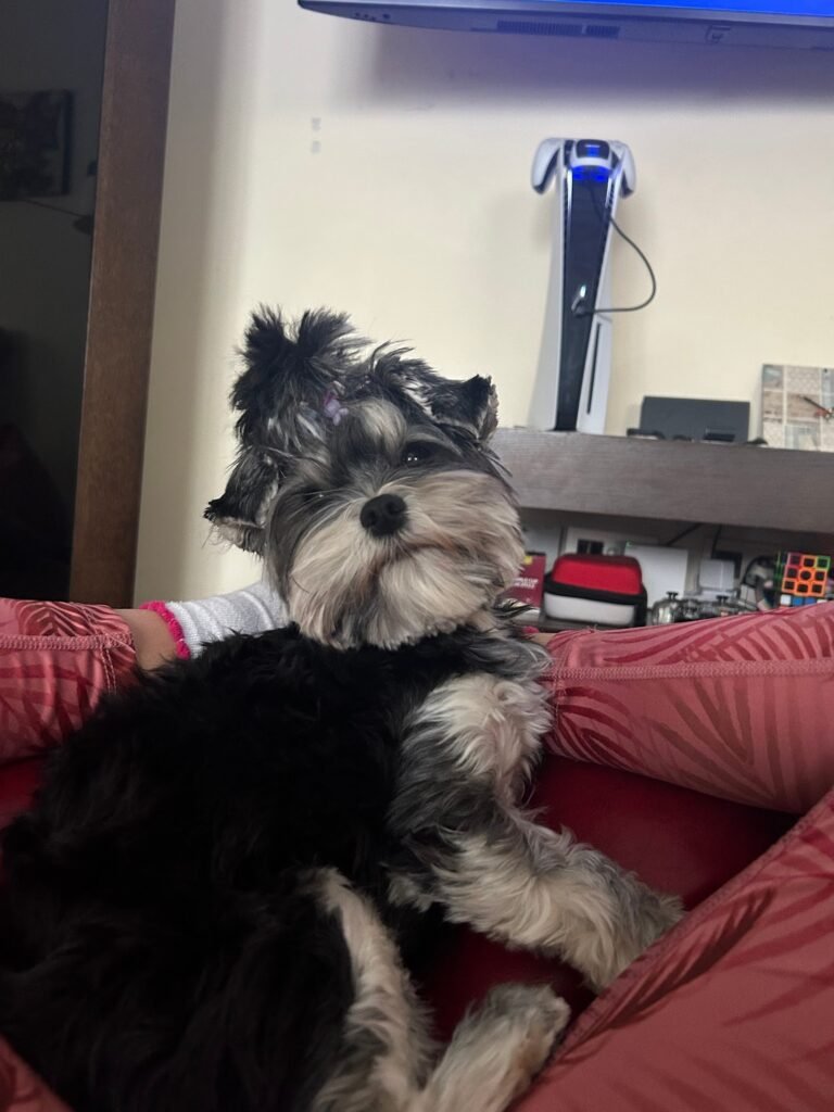 mascotajardín