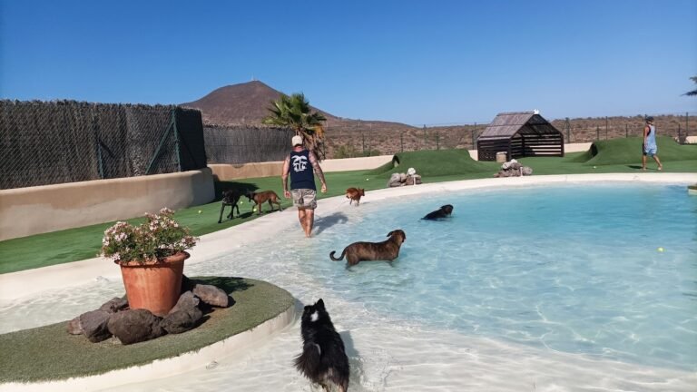 Hotel Canino Mascots – residencia canina en Santa Cruz de Tenerife