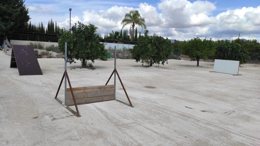 Guardería Canina MurciaSportcan – residencia canina en Murcia