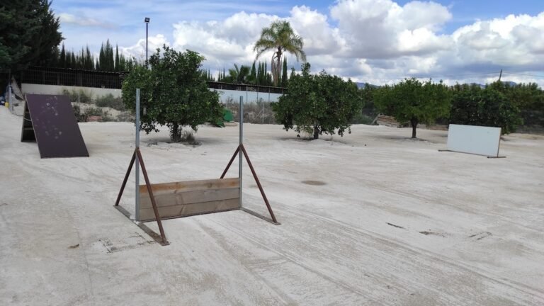 Guardería Canina MurciaSportcan – residencia canina en Murcia