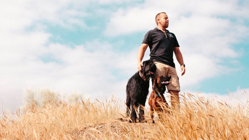 Residencia Canina Natural-Dogs – residencia canina en Málaga