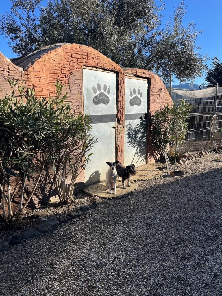 natural-dogs