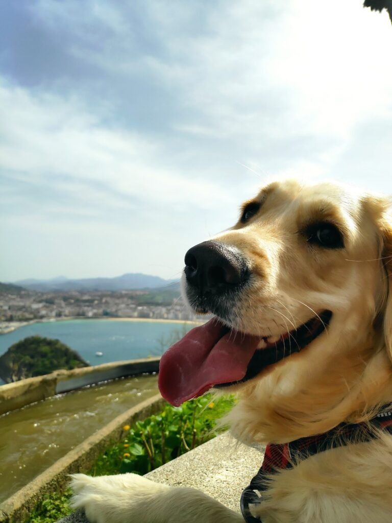 naturcan