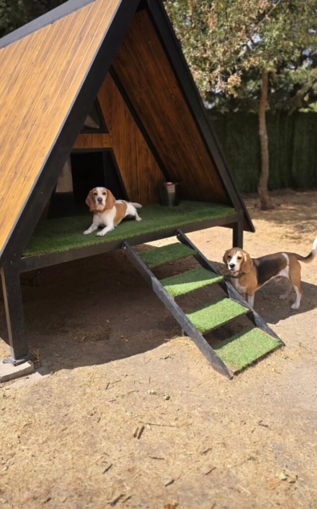 nubomi camp