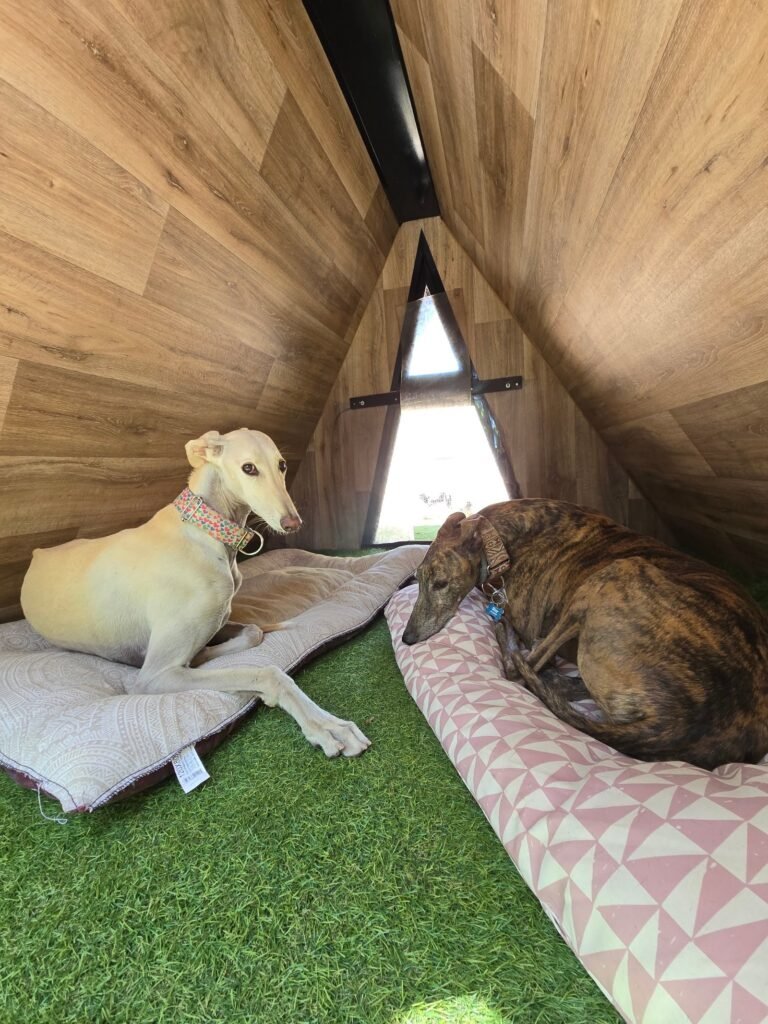 nubomi camp