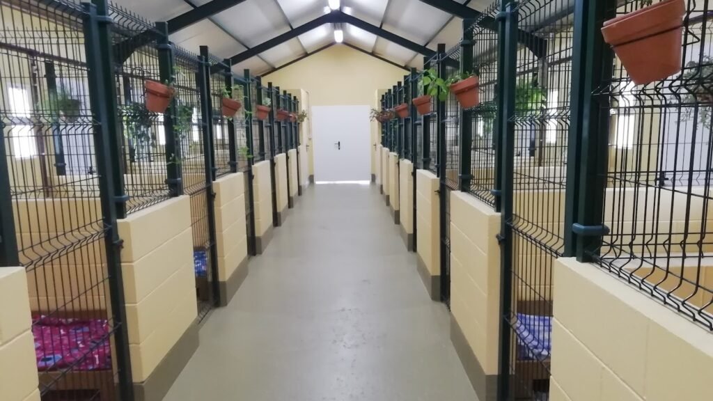 Hotel Canino Obradoiro – residencia canina en A Coruña