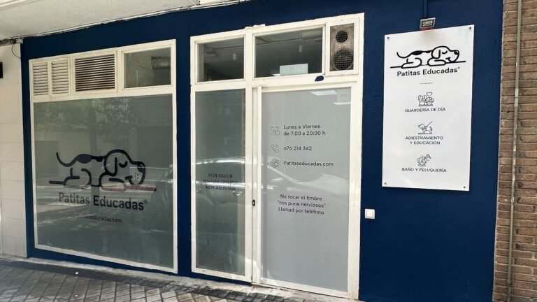 Guardería Canina Patitas Educadas – residencia canina en Madrid