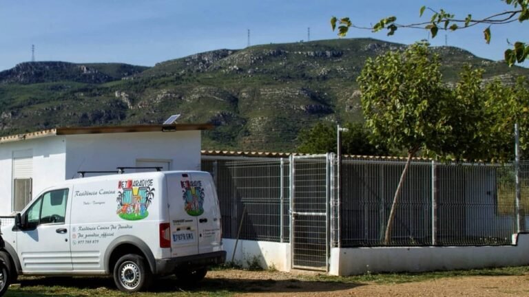 Guardería Canina Pet Paradise – residencia canina en Tarragona