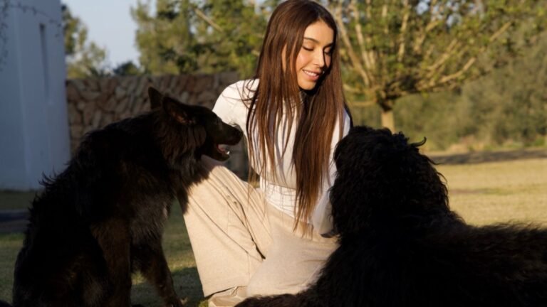 Pet Privé – residencia canina en Baleares