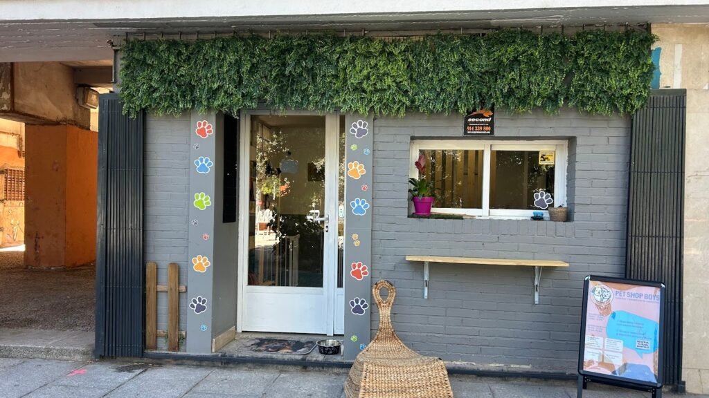 Guardería Canina Pet Shop Boys El Club – residencia canina en Madrid