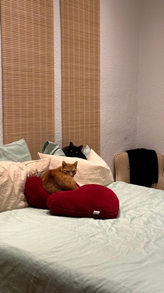 petluditos