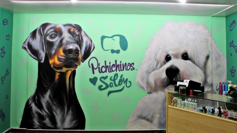 Peluquería Canina Pichichinos – residencia canina en Lugo