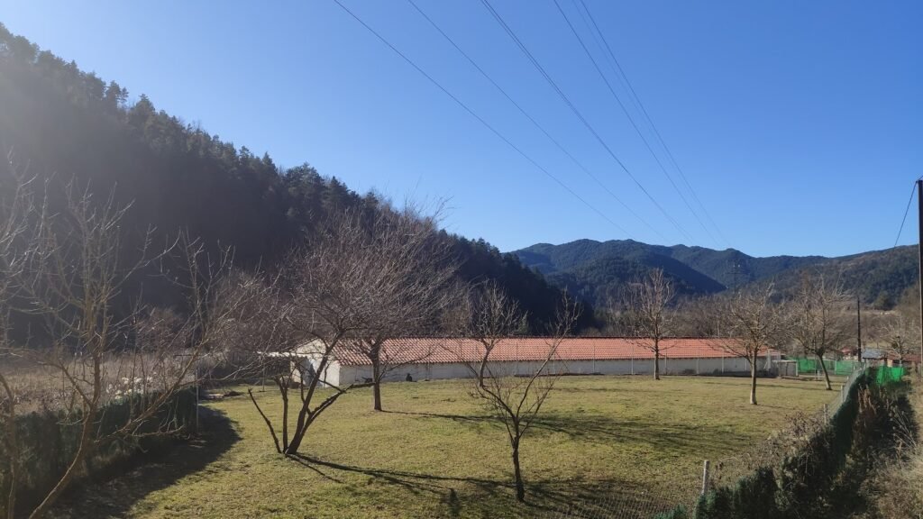 Residencia Canina Radikaldogs – residencia canina en Girona
