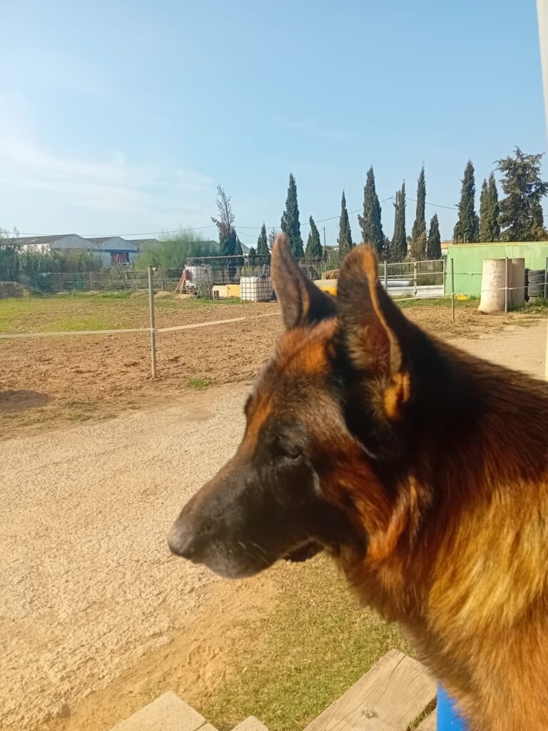 ralc