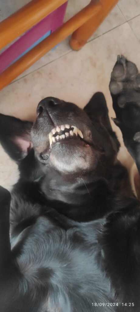 ralc