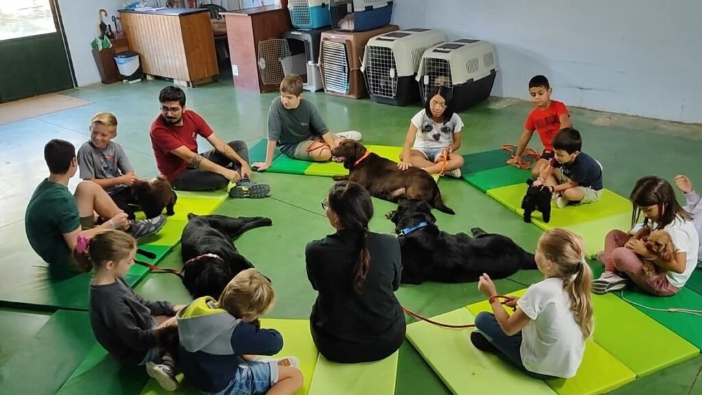 Hotel Canino Ramalladas – residencia canina en Pontevedra