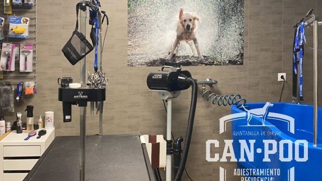 residencia canina can poo