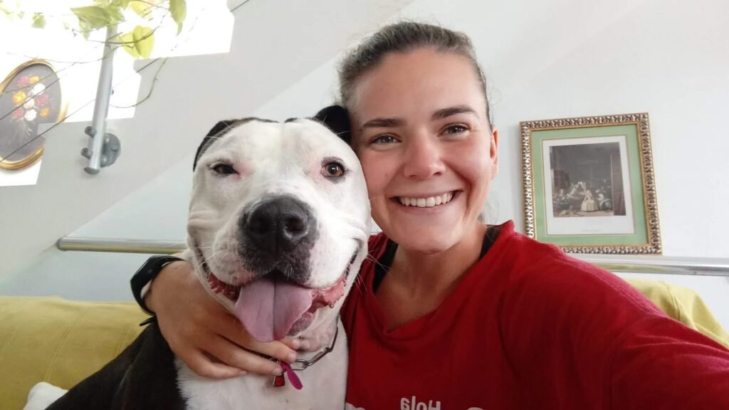 Residencia Canina De Los Reyes – residencia canina en Málaga