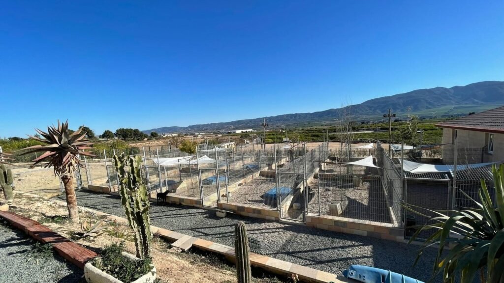 Residencia Canina Dequiresa – residencia canina en Murcia