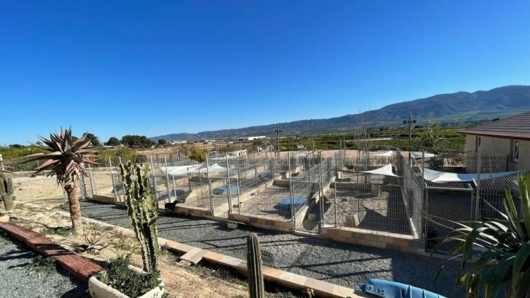 Residencia Canina Dequiresa – residencia canina en Murcia