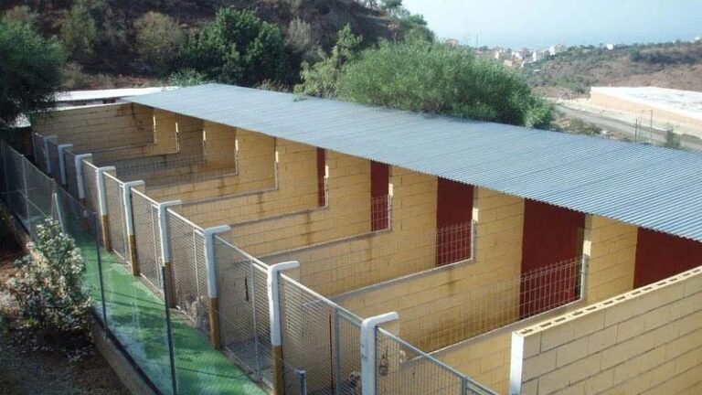 Residencia Canina Don Animal – residencia canina en Málaga