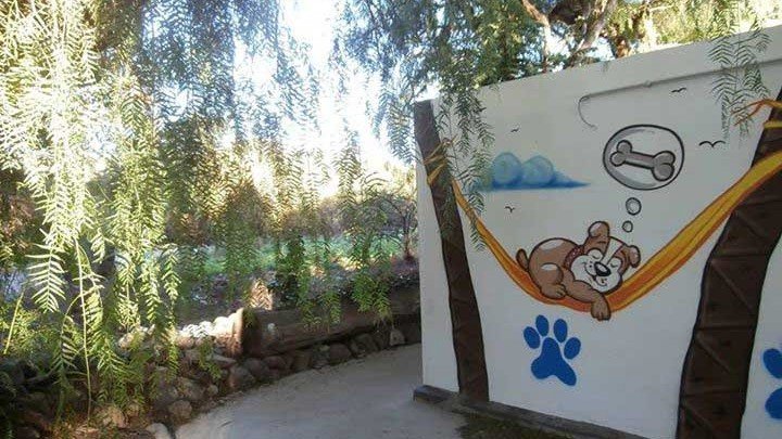 Residencia Canina Marina Dog – residencia canina en Santa Cruz de Tenerife