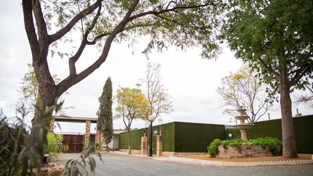 Residencia Canina Somos Muy Perros – residencia canina en Murcia