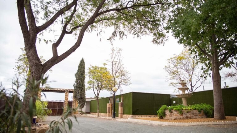 Residencia Canina Somos Muy Perros – residencia canina en Murcia