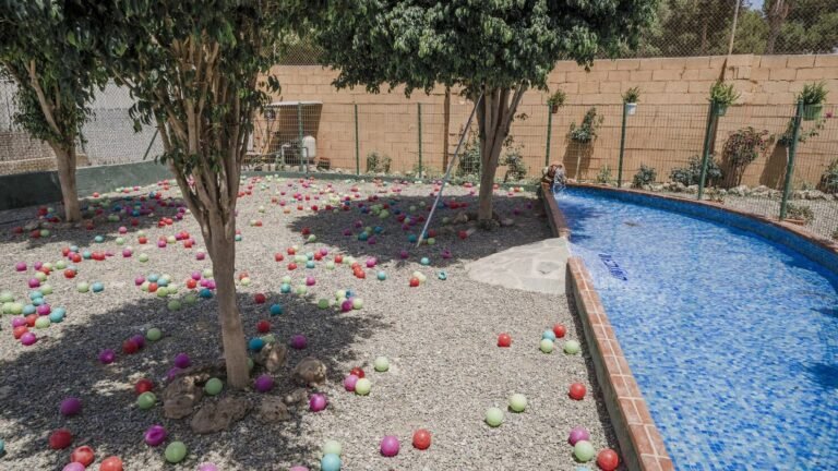 Residencia Canina Unican – residencia canina en Málaga