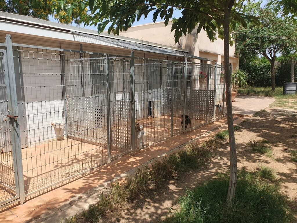 residencia canina vilamarxant