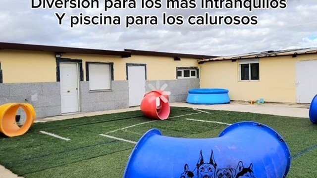 Residencia Canina Villacharra – residencia canina en Salamanca