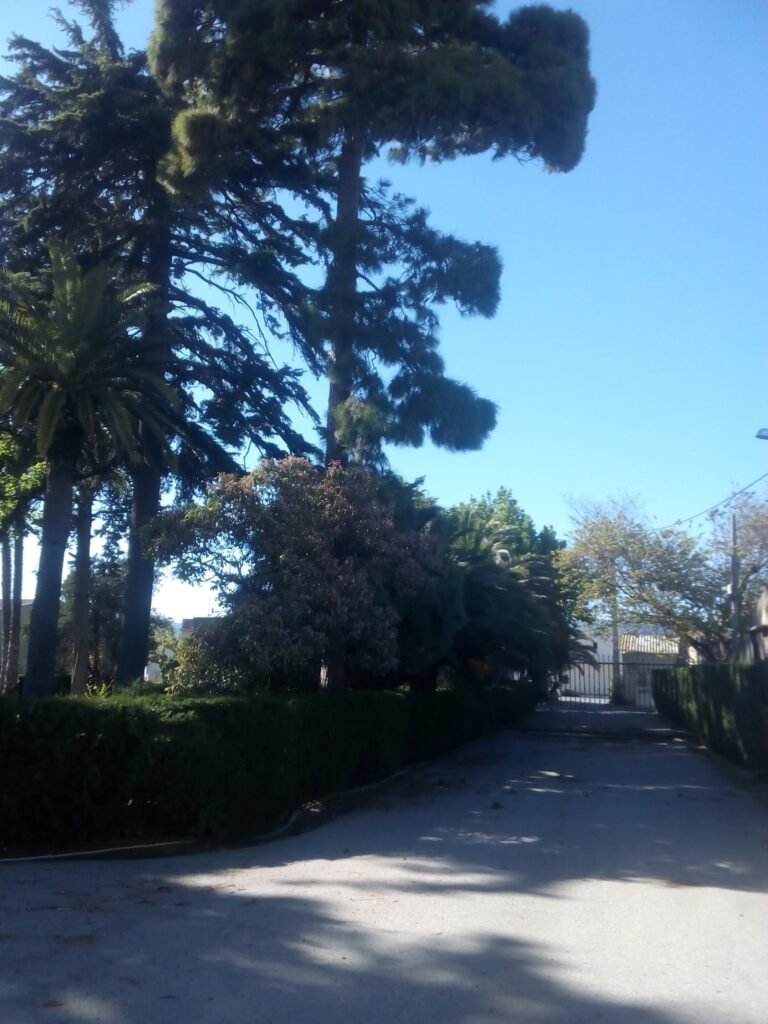 rodman baix camp
