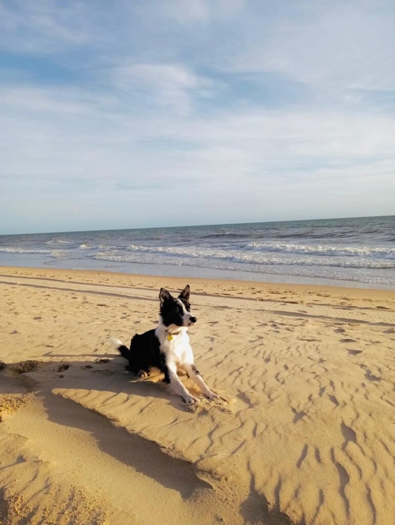 ruta de la plata