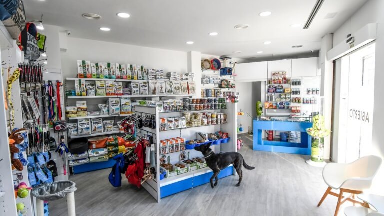 Residencia Canina San Roque Mascotas – residencia canina en Murcia