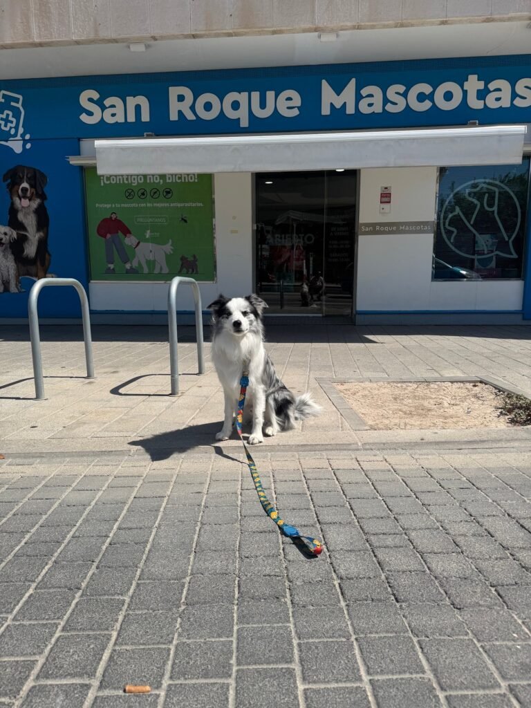 san roque mascotas