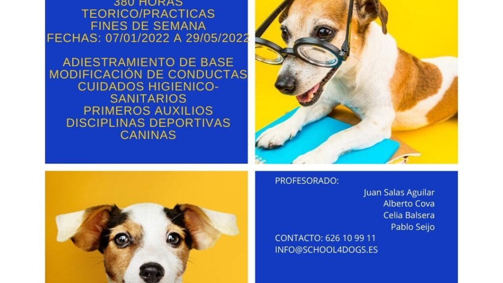 school4dogs