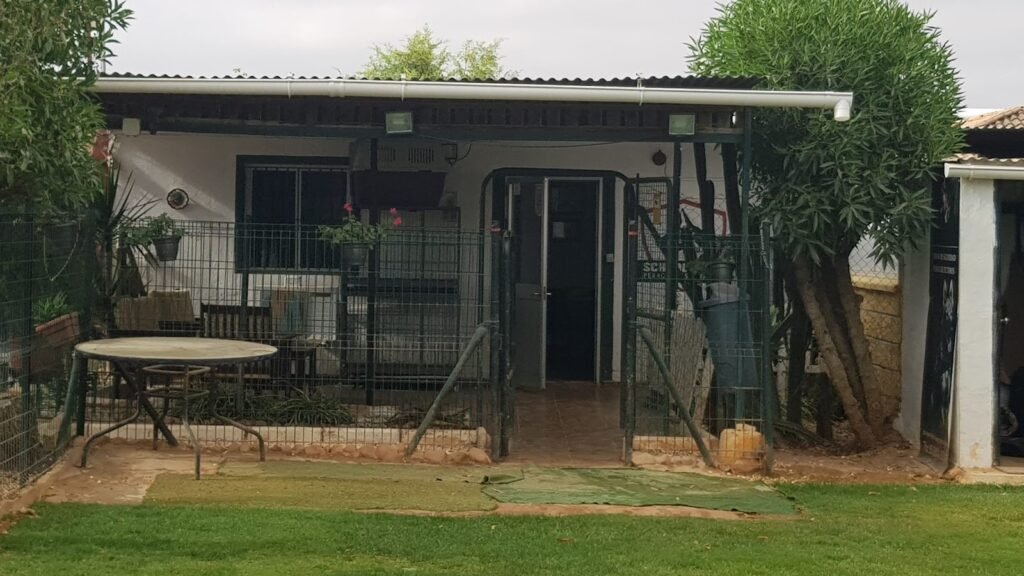 Residencia Canina Schoolcanin – residencia canina en Sevilla