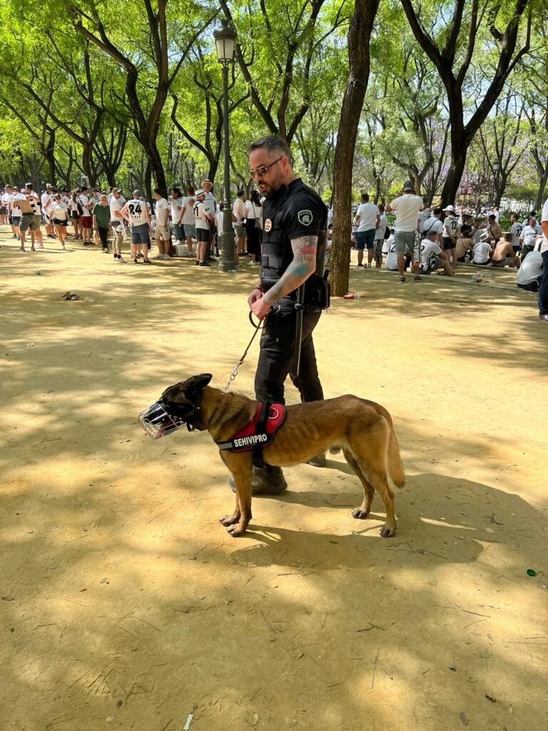 schoolcanin