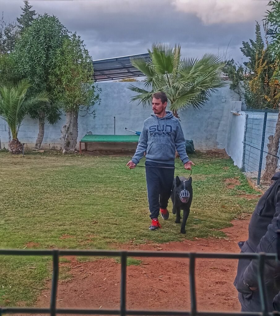 schoolcanin