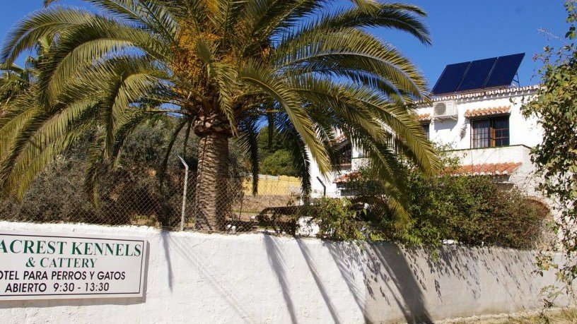 Residencia Canina Seacrest Kennels – residencia canina en Málaga