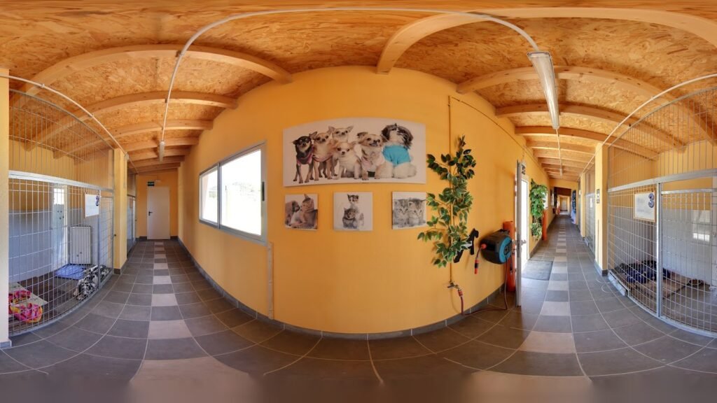 Hotel para Perros Sofia’s Pet Hotel – residencia canina en Tarragona