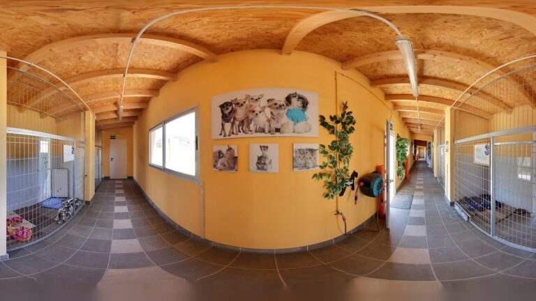 Hotel para Perros Sofia’s Pet Hotel – residencia canina en Tarragona