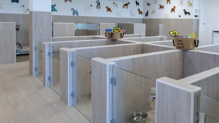 pet world