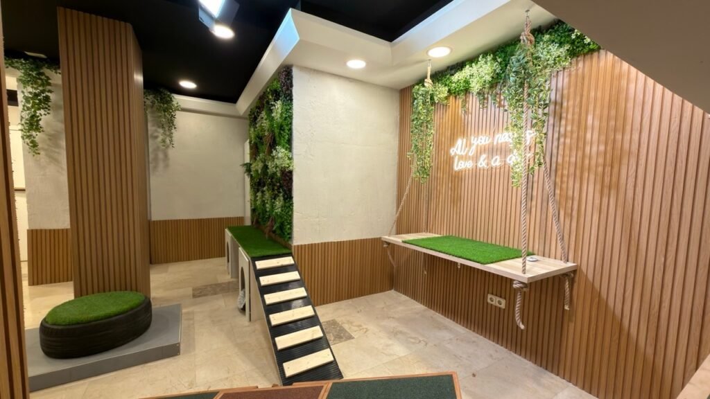 Hotel Canino The Place – residencia canina en Madrid