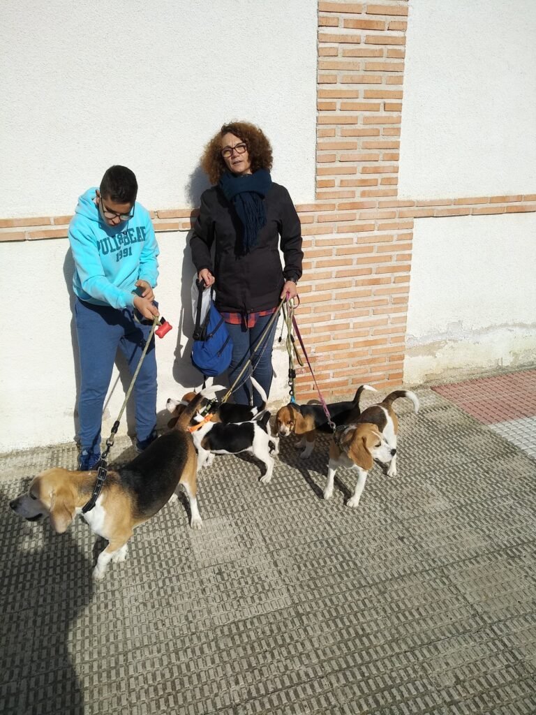 toracan