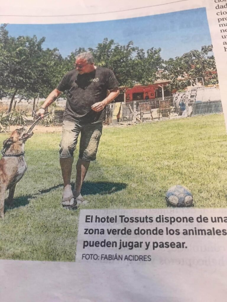 tossuts
