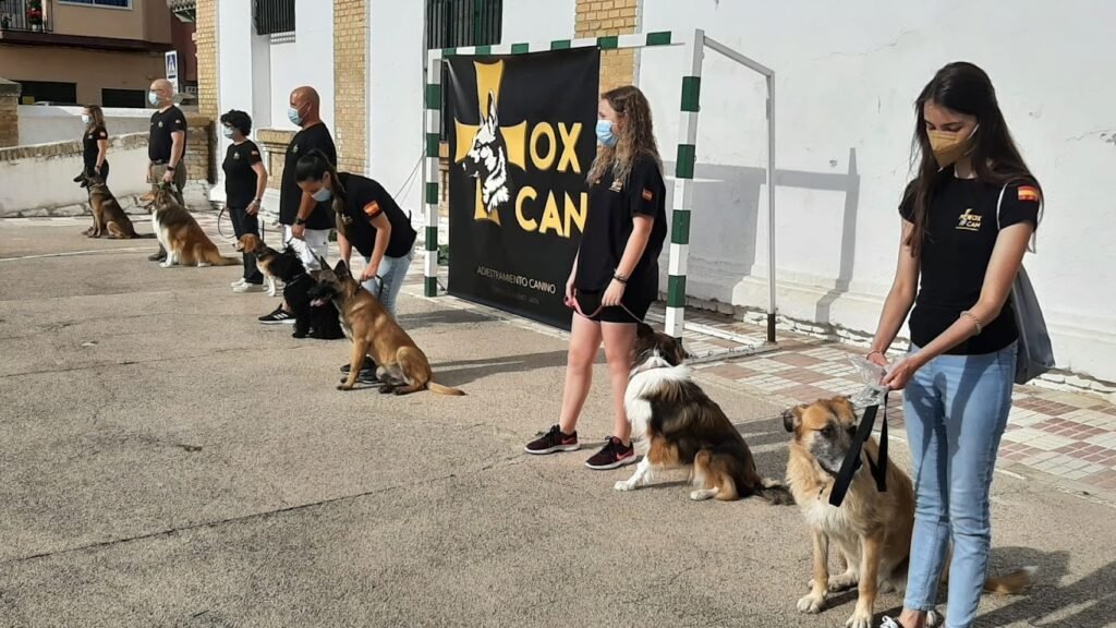 TOX-CAN Adiestramiento y Residencia Canina – residencia canina en Jaén