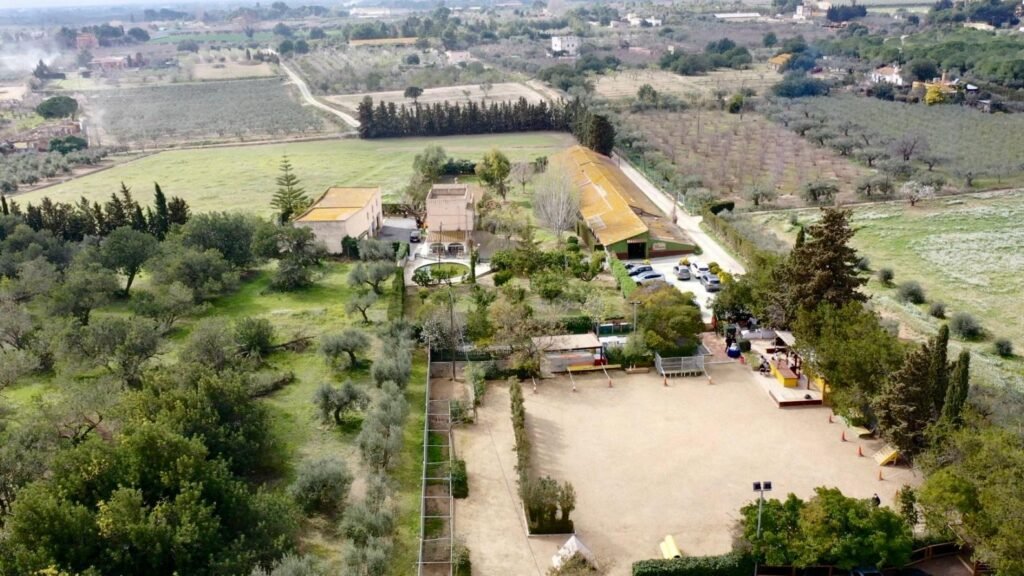 Residencia Canina Tres Pirañas – residencia canina en Tarragona