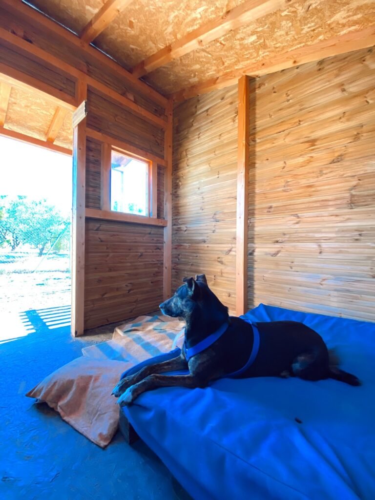 tumburú