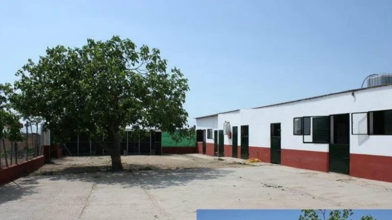 el hogar del perro